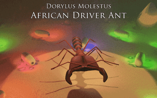 One of our monsters, the African driver will make short work of enemies with its huge jaws.