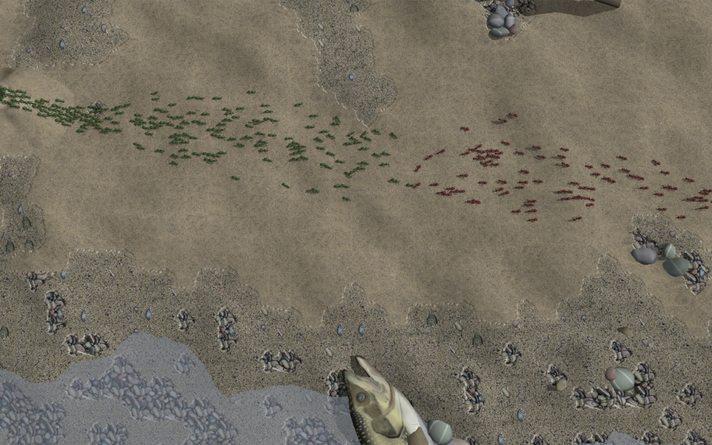 Two colonies clash on a beach.