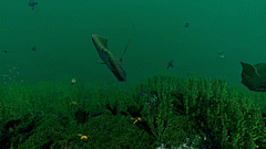 dblzzzGIFGreenFishSwimming.gif