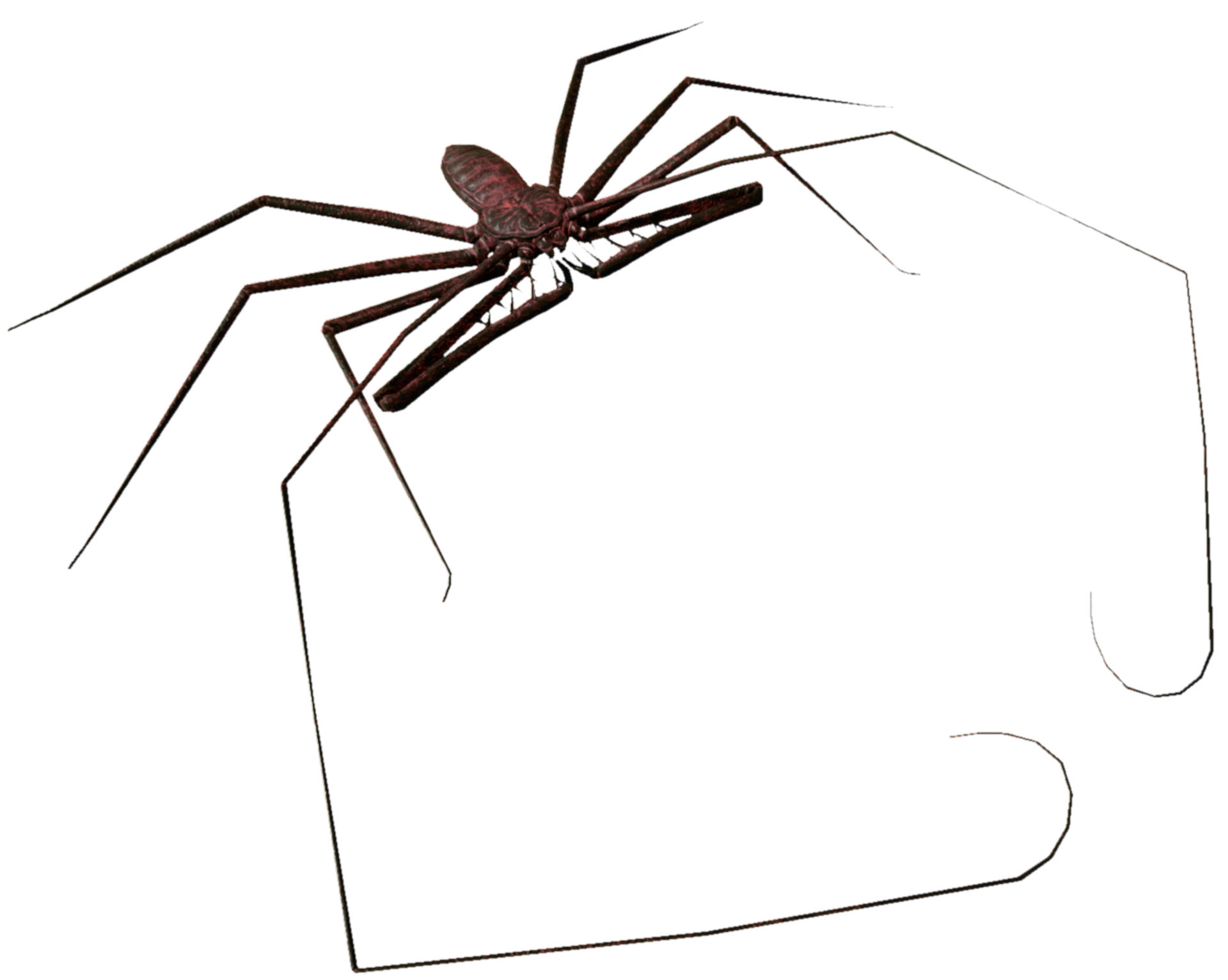 dblz_Creatures_WhipSpiderAdult.png